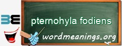 WordMeaning blackboard for pternohyla fodiens